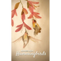 Address Book Hummingbirds - Paperback