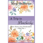 A Trip to Pemberley - Paperback