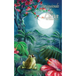 Persiguiendo la Luna - Hardcover