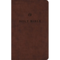 ESV Premium Church Bible (Trutone, Brown) - Imitation Leather