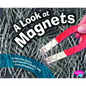 A Look at Magnets - Paperback