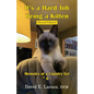 It's a Hard Job Being a Kitten - Paperback