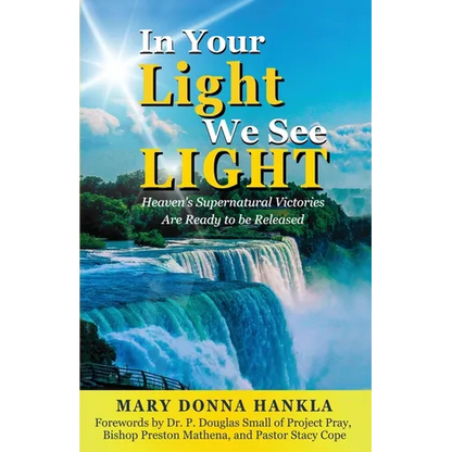 In Your Light We See LIGHT: Heaven's Supernatural Victories Are Ready To Be Released - Paperback