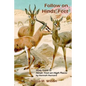 Follow on Hinds' Feet: Study Guide to Hinds' Feet on High Places - Paperback