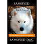 Samoyed Training Book for Samoyed Dogs & Puppies By D!G THIS DOG Training, Easy Dog Training, Professional Results, Training Begins from the Car Ride - Paperback