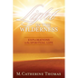 Light in the Wilderness: Explorations in the Spiritual Life - Paperback