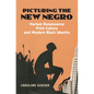 Picturing the New Negro: Harlem Renaissance Print Culture and Modern Black Identity - Hardcover