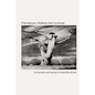 The Ravyn: Riding the Cyclone - Paperback