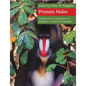 Primate Males - Paperback