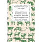 Feeding Cattle on the Farm - A Collection of Articles on the Nutrition, Rations and Equipment for Cattle Feeding - Paperback