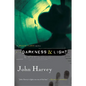 Darkness & Light: A Frank Elder Mystery - Paperback