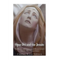 Opus Dei and the Jesuits: The History and Legacy of the Roman Catholic Church's Most Famous Orders - Paperback