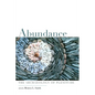 Abundance: The Archaeology of Plenitude - Paperback