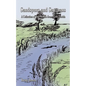 Sandspurs and Sawgrass: A Collection of True Stories from North Florida - Paperback