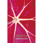 Difficult Fruit - Paperback