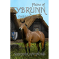 Plains of Tybrunn - Paperback