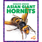 Asian Giant Hornets - Library Binding
