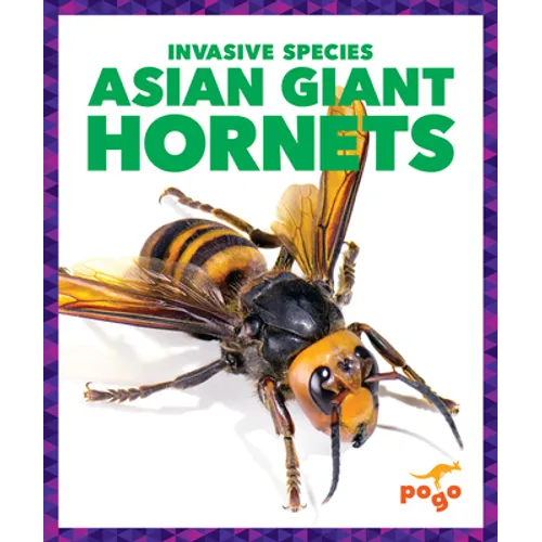 Asian Giant Hornets - Library Binding