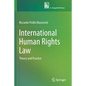 International Human Rights Law: Theory and Practice - Paperback