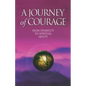 A Journey of Courage: From Disability to Spiritual Ability - Paperback