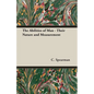The Abilities of Man - Their Nature and Measurement - Paperback