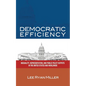 Democratic Efficiency: Inequality, Representation, and Public Policy Outputs in the United States and Worldwide - Paperback