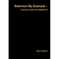 Selenium By Example - Volume III: Selenium WebDriver - Paperback