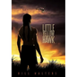 Little Yellow Hawk - Hardcover
