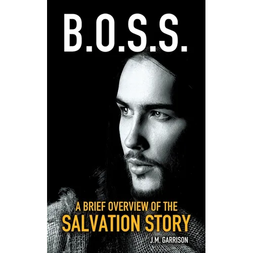 A Brief Overview of the Salvation Story - Paperback
