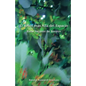 El Arbol mas Alla del Espacio: El Rebe Najman de Breslov sobre la Experiencia Mistica - Paperback
