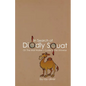 In Search of Diddly Squat: or: The Mall Walker's Guide to the Universe - Paperback