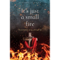 It's just a small fire: The formation of my spiritual life - Paperback