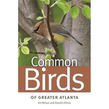 Common Birds of Greater Atlanta - Paperback
