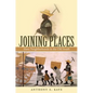 Joining Places: Slave Neighborhoods in the Old South - Paperback