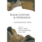 Black Culture and Experience: Contemporary Issues - Paperback