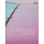 Entropy - Hardcover