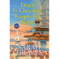 Death by Chocolate Raspberry Scone - Paperback
