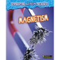 Magnetism - Paperback