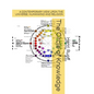 The Circle of Knowledge. - Hardcover