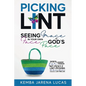 Picking Lint: Seeing Grace In Your Own Face at God's Pace - Paperback