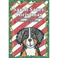 Sarah Saves Christmas - Paperback