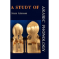 A Study of Arabic Phonology - Paperback