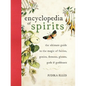 The Encyclopedia of Spirits: The Ultimate Guide to the Magic of Fairies, Genies, Demons, Ghosts, Gods and Goddesses - Hardcover