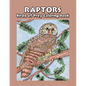 Raptors - Birds of Prey Coloring Book - Paperback