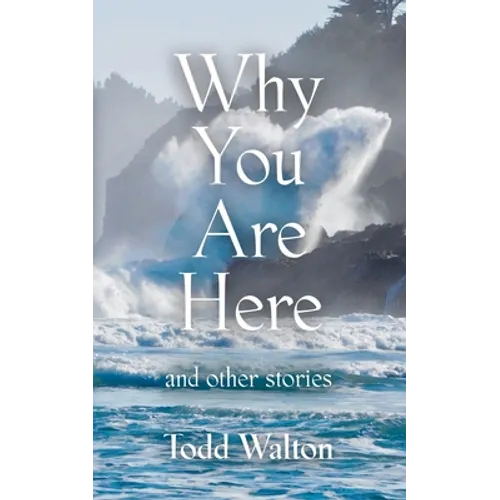 Why You Are Here: and other stories - Paperback