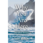 Why You Are Here: and other stories - Paperback