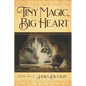 Tiny Magic, Big Heart: James Dutton's Fairy Tale Books Series - Paperback