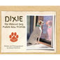 Dixie the Rescue Dog Makes New Friends - Hardcover