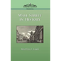 Wall Street in History - Paperback