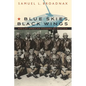 Blue Skies, Black Wings: African American Pioneers of Aviation - Paperback